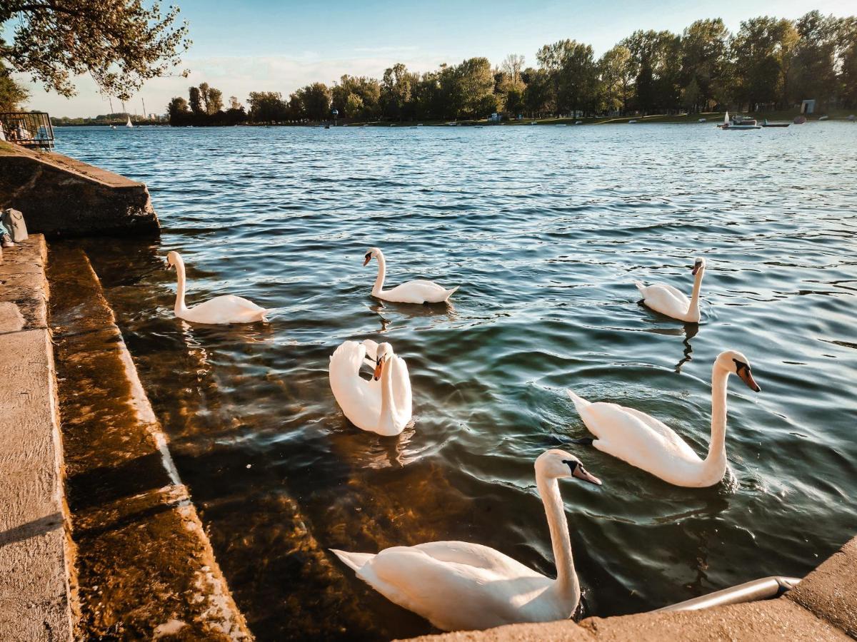 Vienna Green - Modern New Apartment, Old Danube エクステリア 写真